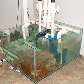 Aquarium sur mesure: systèmes de filtration sur mesure