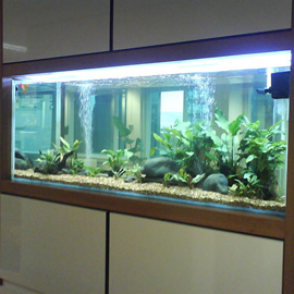 Aquarium sur mesure: commercial