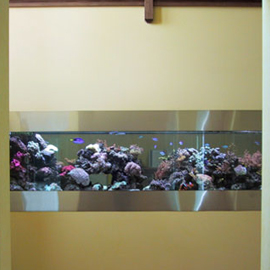 Mur aquarium: encastré