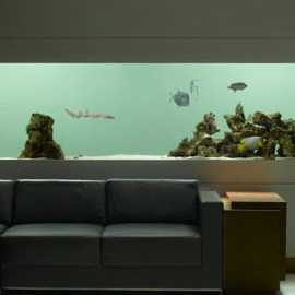 Mur aquarium: cadre divan